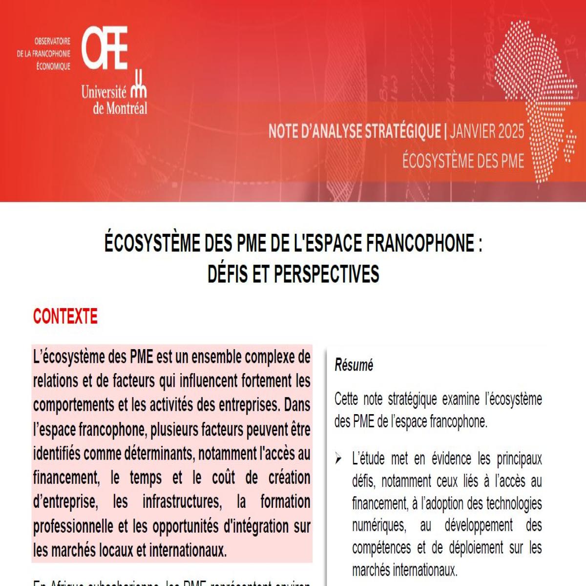 Écosystème des PME de l'espace francophone : défis et perspectives (Janvier 2025)